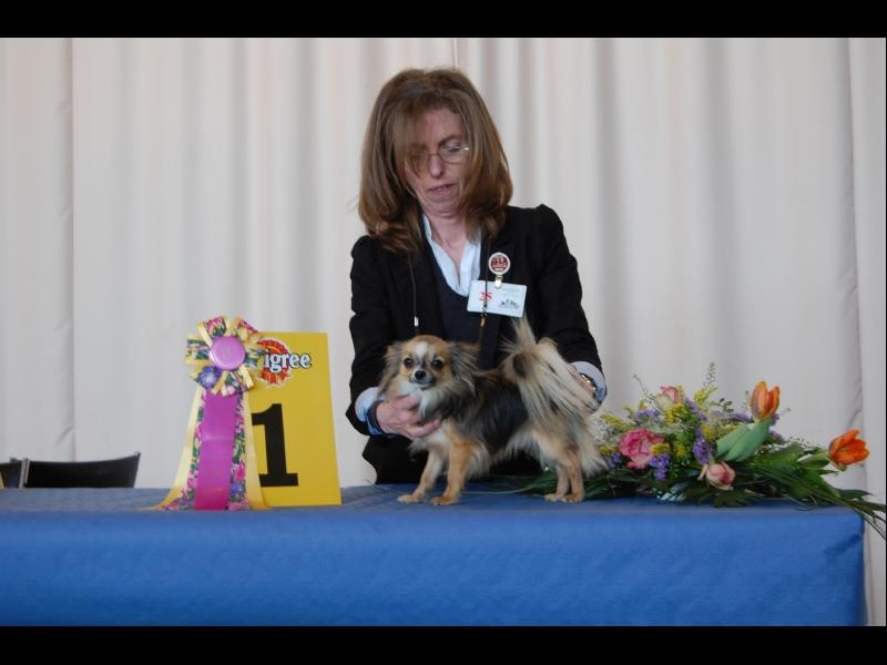 Inesh Las Manzanas D'amor - 1 Excellent CAC