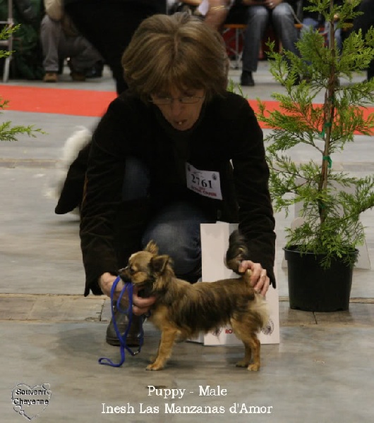 Inesh Las Manzanas D'amor - 2 Très Prometteur