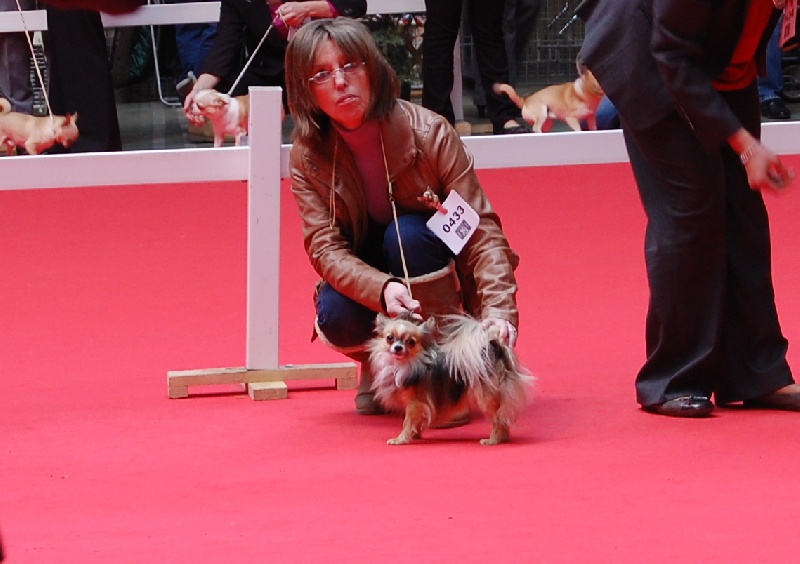 Inesh Las Manzanas D'amor - Classe Ouverte : Excellent