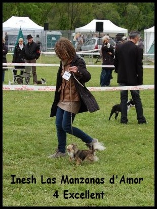 Inesh Las Manzanas D'amor - 4 Excellent classe ouverte