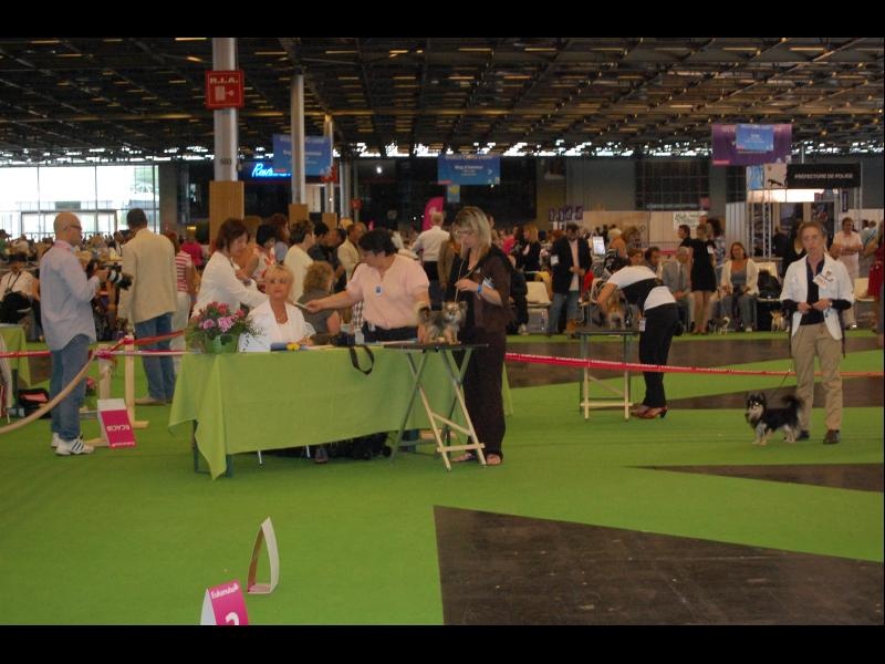 Inesh Las Manzanas D'amor - Tres bon