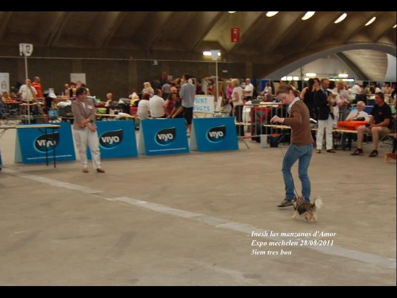 Inesh Las Manzanas D'amor - 3 TRES BON