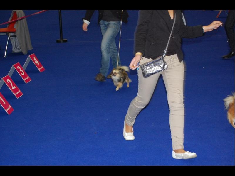 Inesh Las Manzanas D'amor - 2 TRES BON