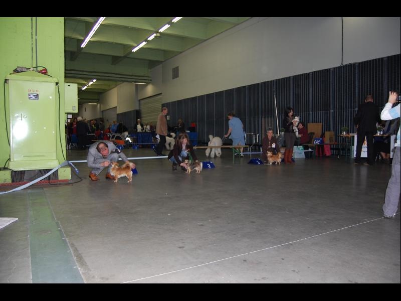 Inesh Las Manzanas D'amor - 2 TRES BON