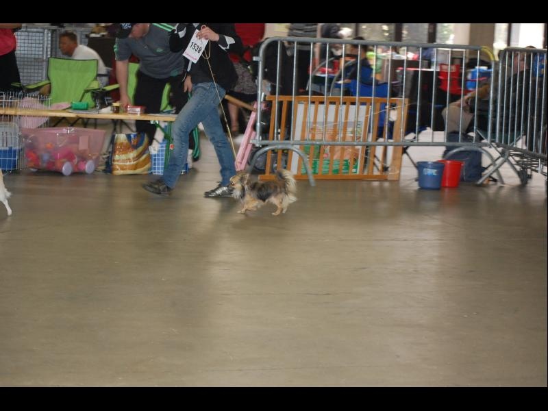 Inesh Las Manzanas D'amor - 1er Très bon