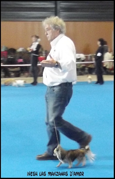 Inesh Las Manzanas D'amor - Exellent classe ouverte mâle PL