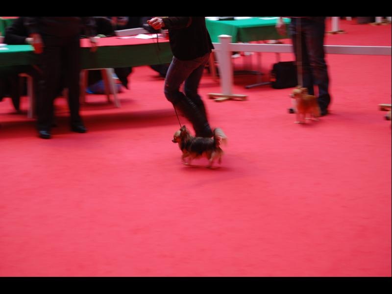 Inesh Las Manzanas D'amor - Excellent