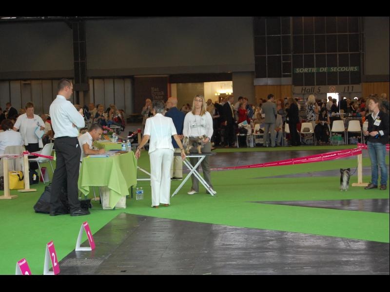 Inesh Las Manzanas D'amor - Tres bon