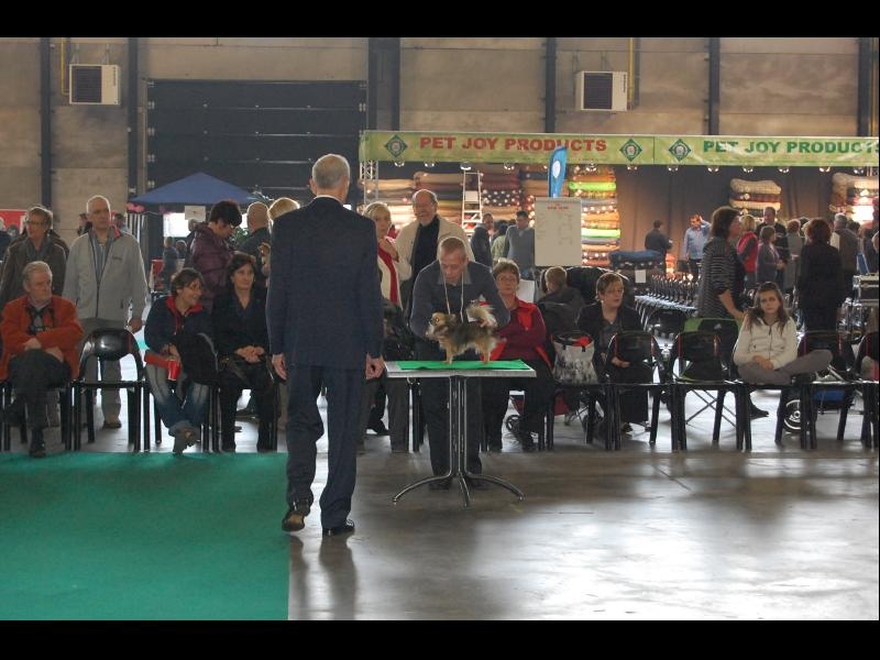 Inesh Las Manzanas D'amor - 3 EXCELLENT