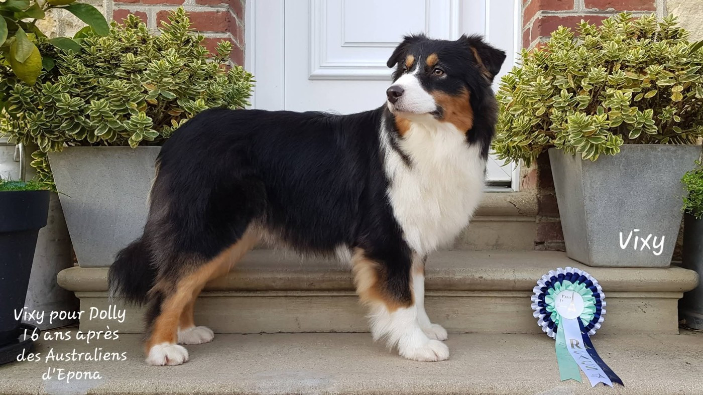 Vixy pour dolly 16 ans après Des Australiens d'Epona