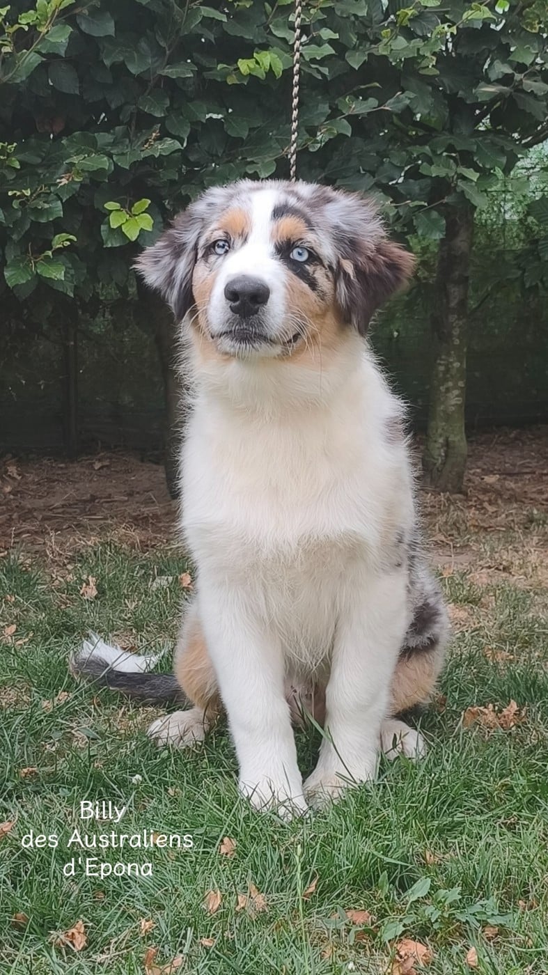 BILLY