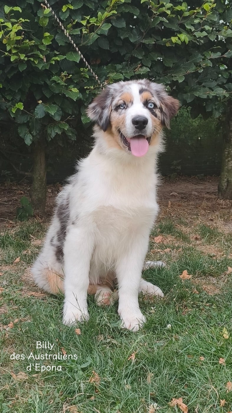 BILLY