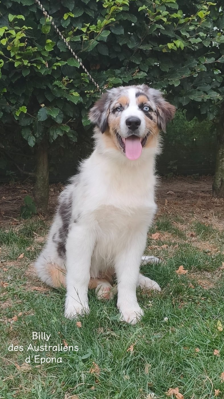 BILLY