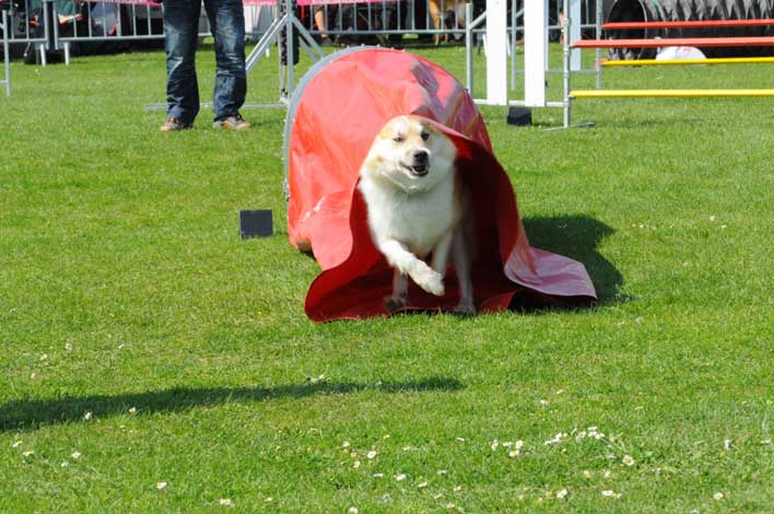 Publication : Fra Valhalla