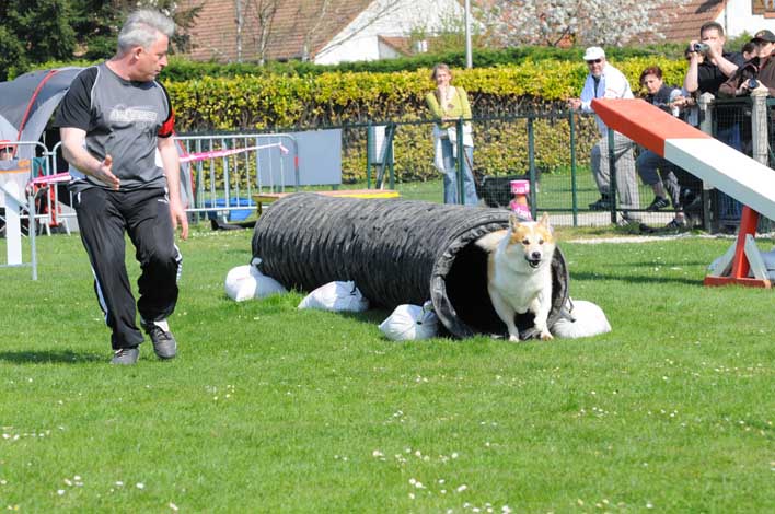 Publication : Fra Valhalla