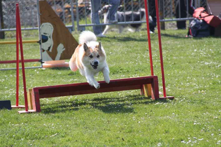 Publication : Fra Valhalla