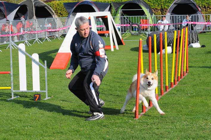 Publication : Fra Valhalla