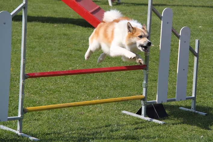 Publication : Fra Valhalla