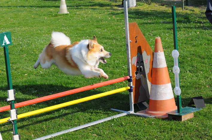 Publication : Fra Valhalla