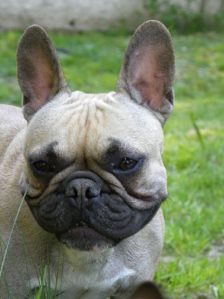 Publication : River Durance's Auteur : Alexandra R.