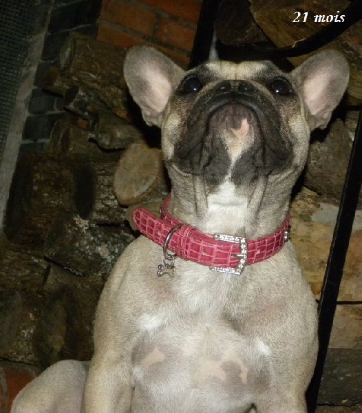 Publication : River Durance's Auteur : Alexandra R.