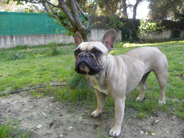 Publication : River Durance's Auteur : Alexandra R.