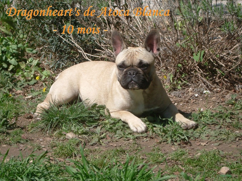 Publication : River Durance's Auteur : Alexandra R.