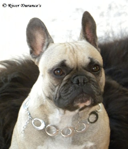 Publication : River Durance's Auteur : Alexandra R.