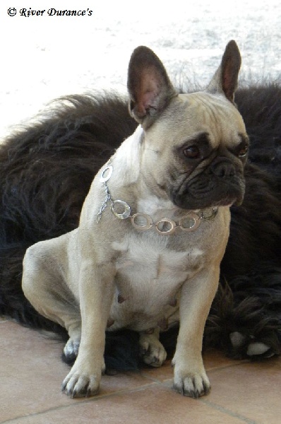 Publication : River Durance's Auteur : Alexandra R.