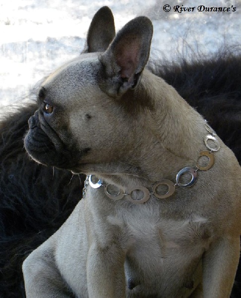 Publication : River Durance's Auteur : Alexandra R.