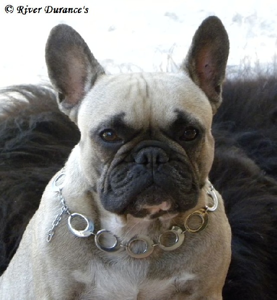 Publication : River Durance's Auteur : Alexandra R.