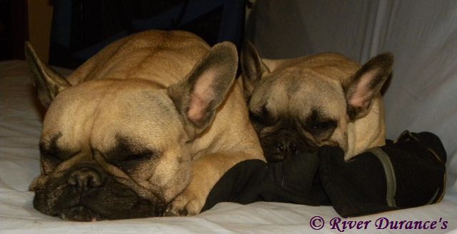 Publication : River Durance's Auteur : Alexandra R.