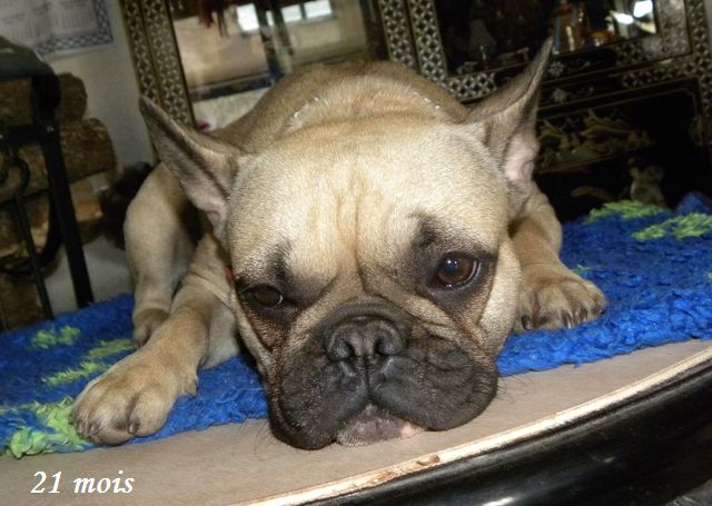 Publication : River Durance's Auteur : Alexandra R.