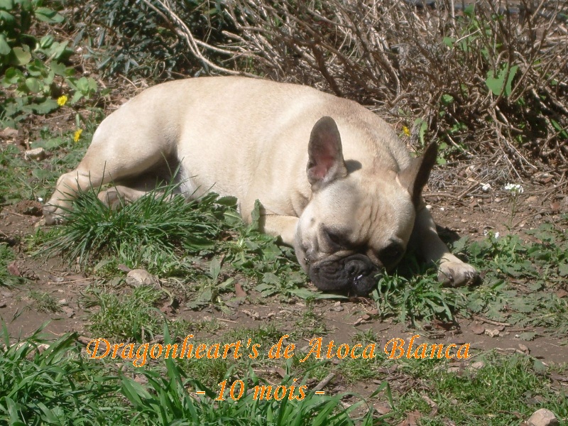 Publication : River Durance's Auteur : Alexandra R.