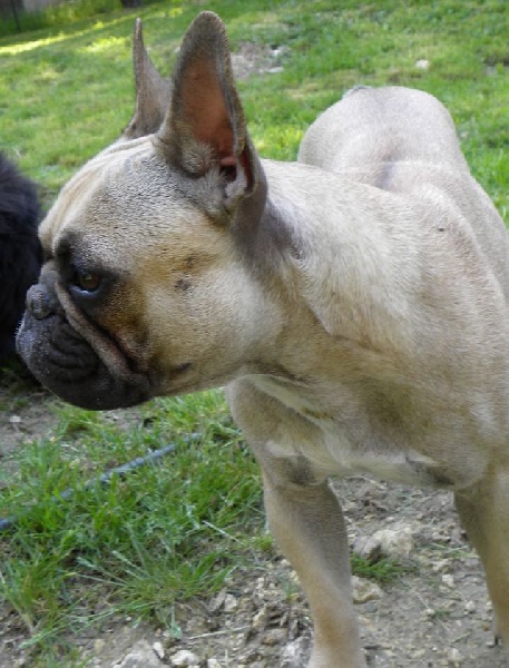 Publication : River Durance's Auteur : Alexandra R.