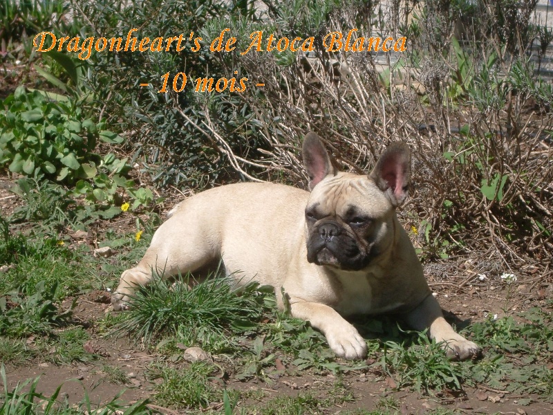 Publication : River Durance's Auteur : Alexandra R.