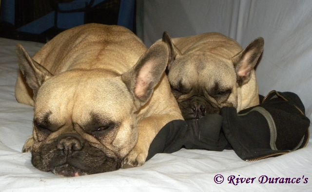 Publication : River Durance's Auteur : Alexandra R.