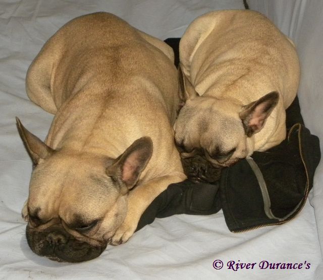 Publication : River Durance's Auteur : Alexandra R.