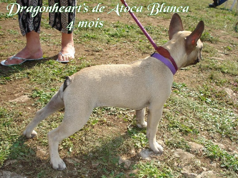 Publication : River Durance's Auteur : Alexandra R.