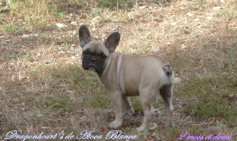 Publication : River Durance's Auteur : Alexandra R.