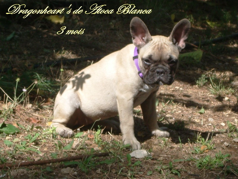 Publication : River Durance's Auteur : Alexandra R.