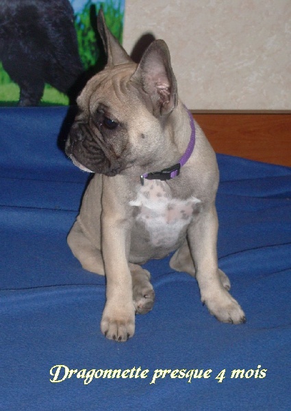 Publication : River Durance's Auteur : Alexandra R.