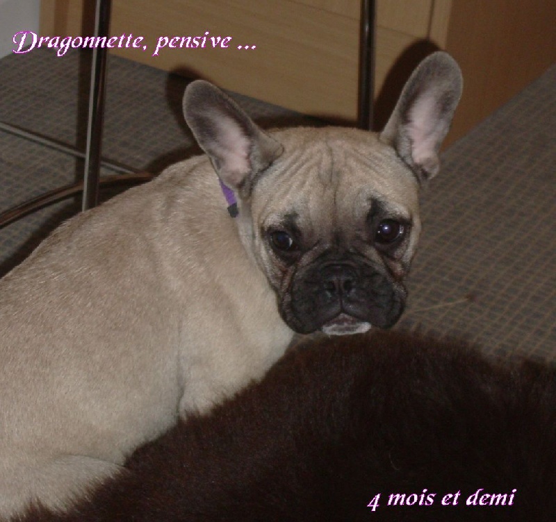 Publication : River Durance's Auteur : Alexandra R.