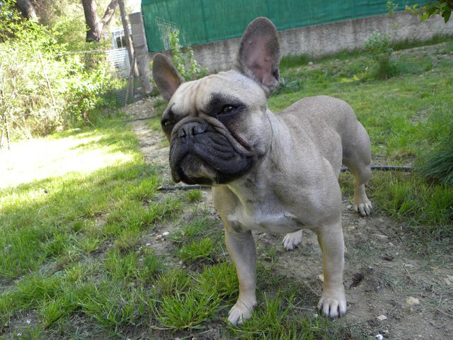 Publication : River Durance's Auteur : Alexandra R.