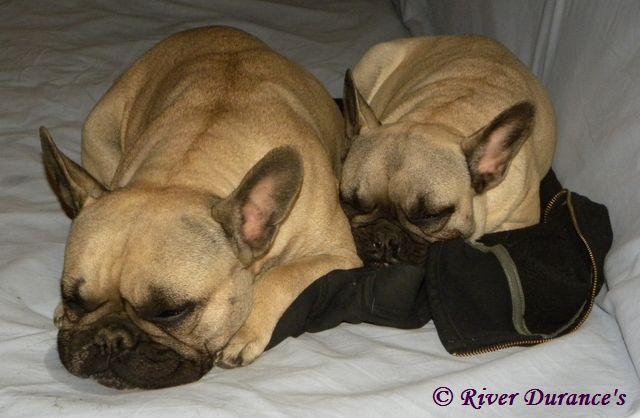 Publication : River Durance's Auteur : Alexandra R.