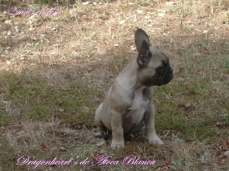 Publication : River Durance's Auteur : Alexandra R.