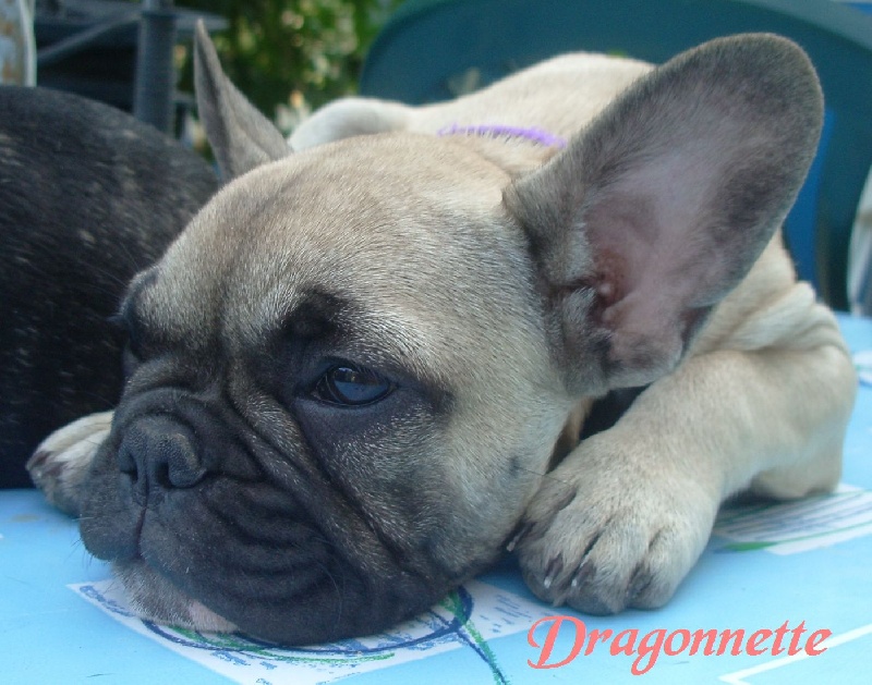 Publication : River Durance's Auteur : Alexandra R.