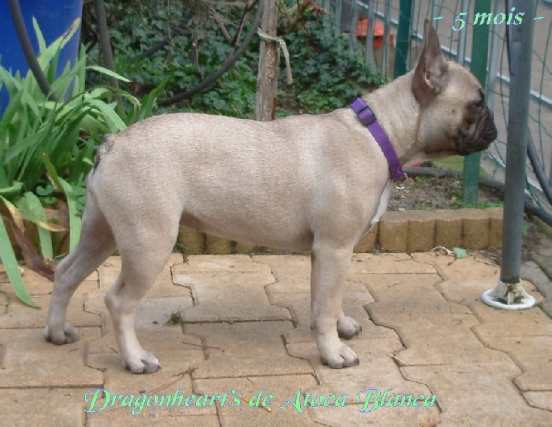 Publication : River Durance's Auteur : Alexandra R.