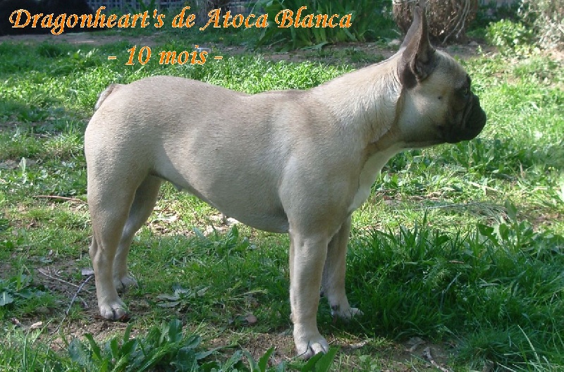 Publication : River Durance's Auteur : Alexandra R.