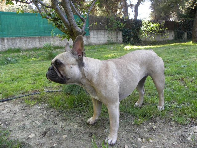 Publication : River Durance's Auteur : Alexandra R.